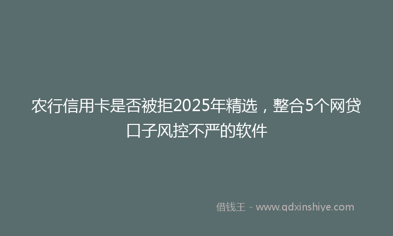 农行信用卡是否被拒2025年精选，整合5个网贷口子风控不严的软件