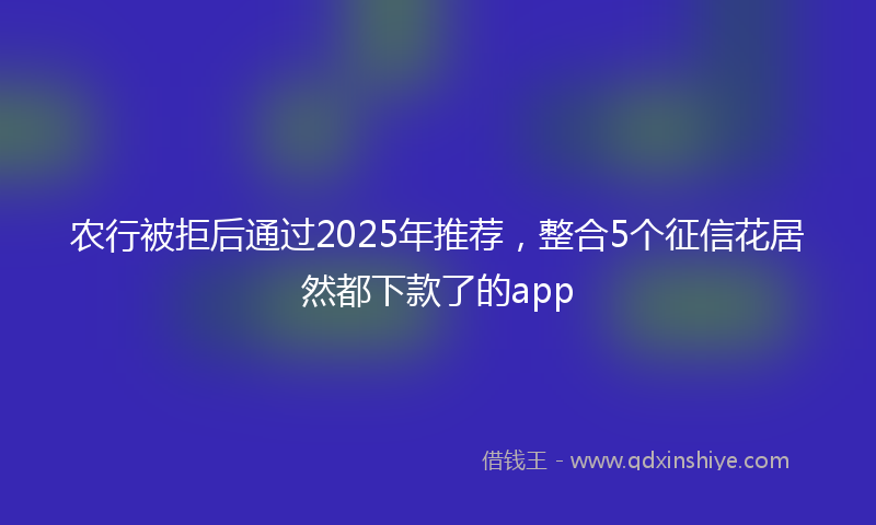 农行被拒后通过2025年推荐，整合5个征信花居然都下款了的app