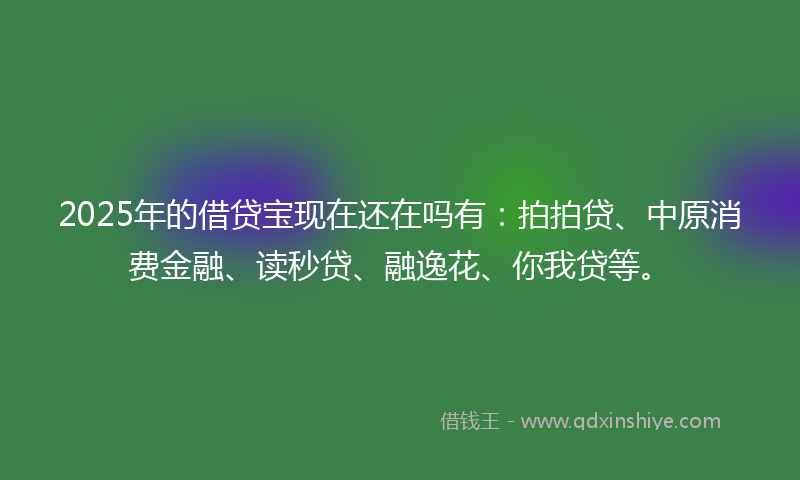 2025年的借贷宝现在还在吗有：拍拍贷、中原消费金融、读秒贷、融逸花、你我贷等。