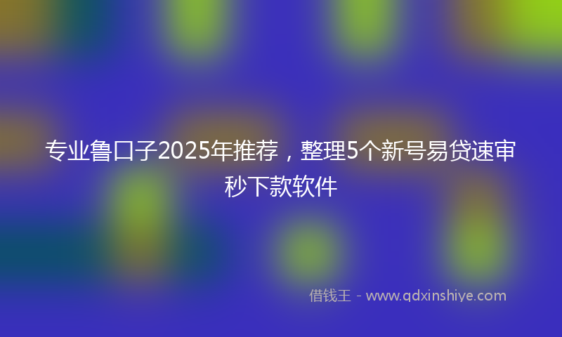 专业鲁口子2025年推荐，整理5个新号易贷速审秒下款软件