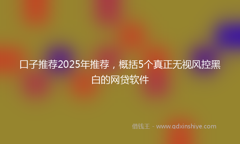口子推荐2025年推荐，概括5个真正无视风控黑白的网贷软件