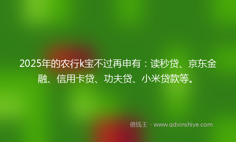 2025年的农行k宝不过再申有：读秒贷、京东金融、信用卡贷、功夫贷、小米贷款等。