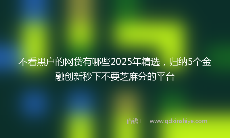 不看黑户的网贷有哪些2025年精选，归纳5个金融创新秒下不要芝麻分的平台
