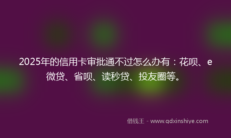 2025年的信用卡审批通不过怎么办有：花呗、e微贷、省呗、读秒贷、投友圈等。