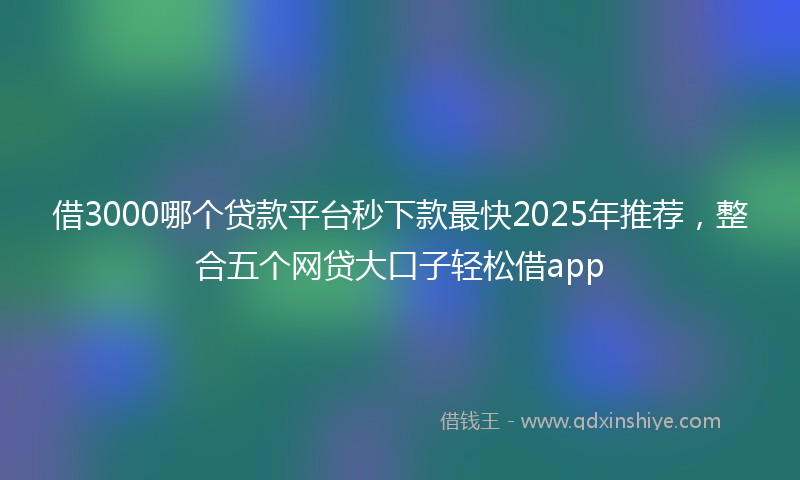 借3000哪个贷款平台秒下款最快2025年推荐，整合五个网贷大口子轻松借app