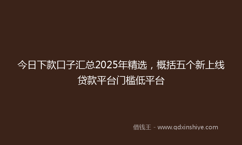 今日下款口子汇总2025年精选，概括五个新上线贷款平台门槛低平台