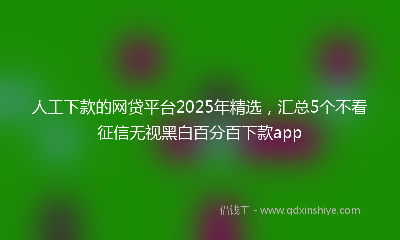 人工下款的网贷平台2025年精选，汇总5个不看征信无视黑白百分百下款app