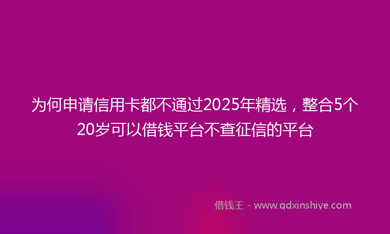 为何申请信用卡都不通过2025年精选，整合5个20岁可以借钱平台不查征信的平台