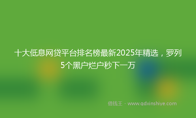 十大低息网贷平台排名榜最新2025年精选，罗列5个黑户烂户秒下一万