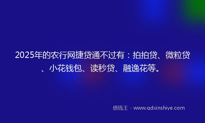 2025年的农行网捷贷通不过有：拍拍贷、微粒贷、小花钱包、读秒贷、融逸花等。