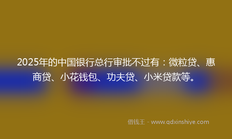 2025年的中国银行总行审批不过有：微粒贷、惠商贷、小花钱包、功夫贷、小米贷款等。