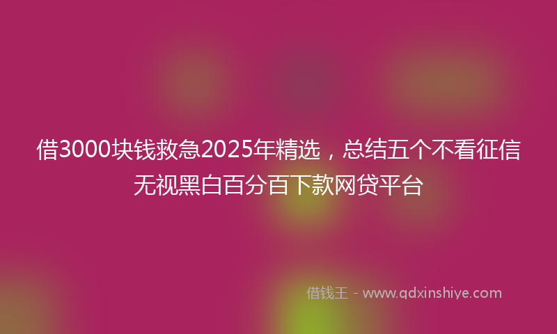 借3000块钱救急2025年精选，总结五个不看征信无视黑白百分百下款网贷平台