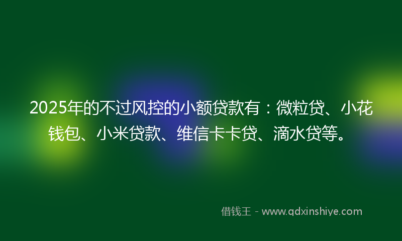 2025年的不过风控的小额贷款有：微粒贷、小花钱包、小米贷款、维信卡卡贷、滴水贷等。