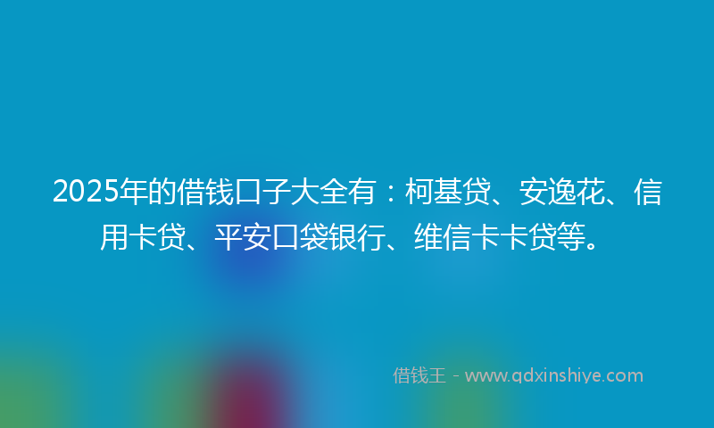 2025年的借钱口子大全有：柯基贷、安逸花、信用卡贷、平安口袋银行、维信卡卡贷等。