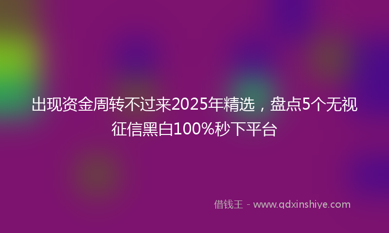 出现资金周转不过来2025年精选，盘点5个无视征信黑白100%秒下平台