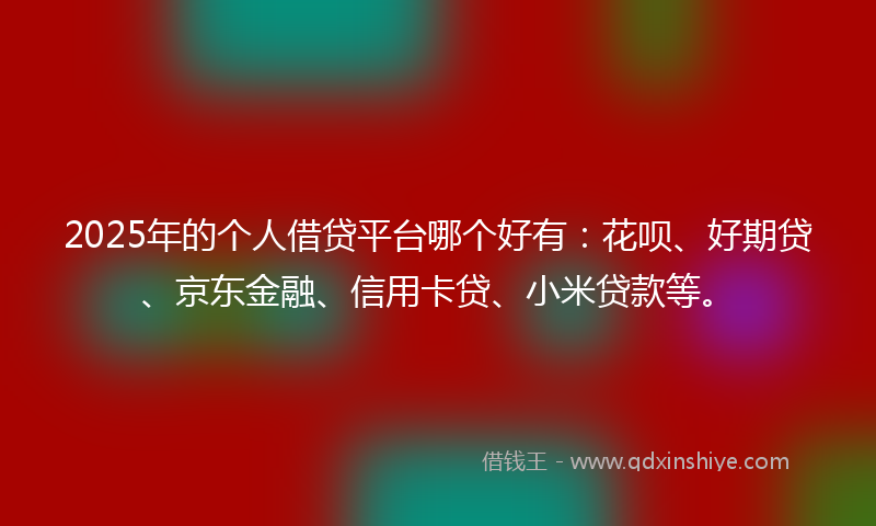 2025年的个人借贷平台哪个好有：花呗、好期贷、京东金融、信用卡贷、小米贷款等。