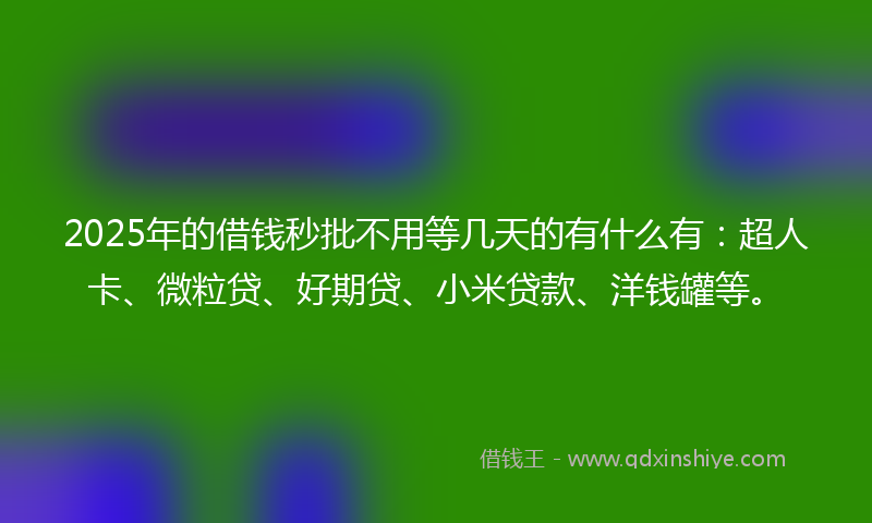 2025年的借钱秒批不用等几天的有什么有：超人卡、微粒贷、好期贷、小米贷款、洋钱罐等。