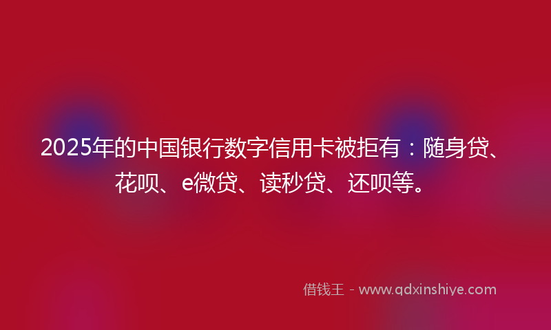 2025年的中国银行数字信用卡被拒有：随身贷、花呗、e微贷、读秒贷、还呗等。