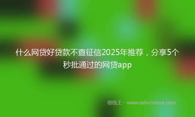 什么网贷好贷款不查征信2025年推荐，分享5个秒批通过的网贷app