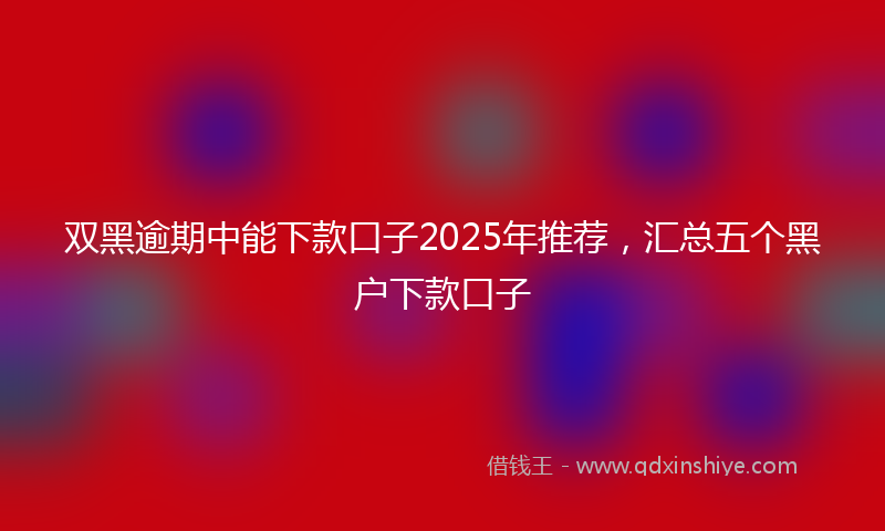 双黑逾期中能下款口子2025年推荐，汇总五个黑户下款口子