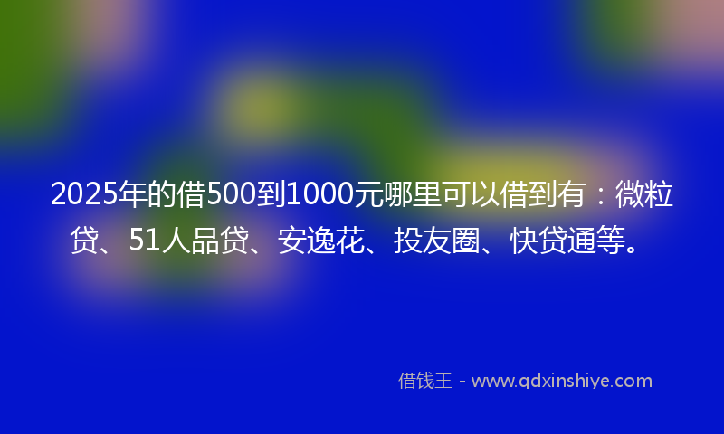 2025年的借500到1000元哪里可以借到有：微粒贷、51人品贷、安逸花、投友圈、快贷通等。
