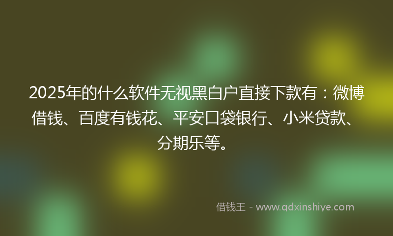 2025年的什么软件无视黑白户直接下款有：微博借钱、百度有钱花、平安口袋银行、小米贷款、分期乐等。