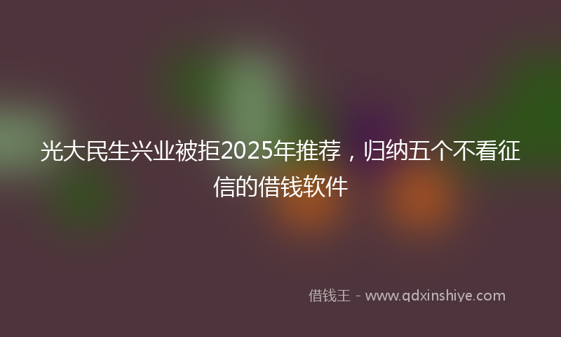 光大民生兴业被拒2025年推荐，归纳五个不看征信的借钱软件