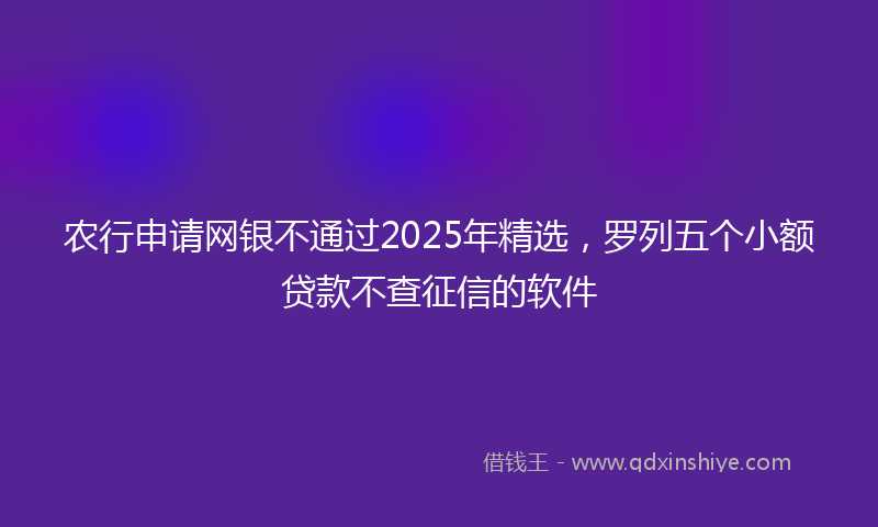 农行申请网银不通过2025年精选，罗列五个小额贷款不查征信的软件