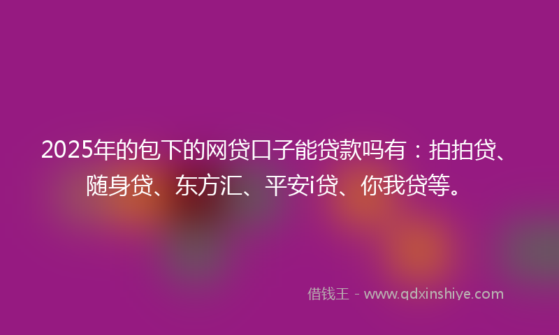 2025年的包下的网贷口子能贷款吗有：拍拍贷、随身贷、东方汇、平安i贷、你我贷等。