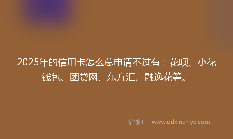 2025年的信用卡怎么总申请不过有：花呗、小花钱包、团贷网、东方汇、融逸花等。
