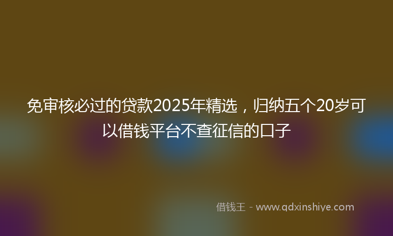 免审核必过的贷款2025年精选，归纳五个20岁可以借钱平台不查征信的口子