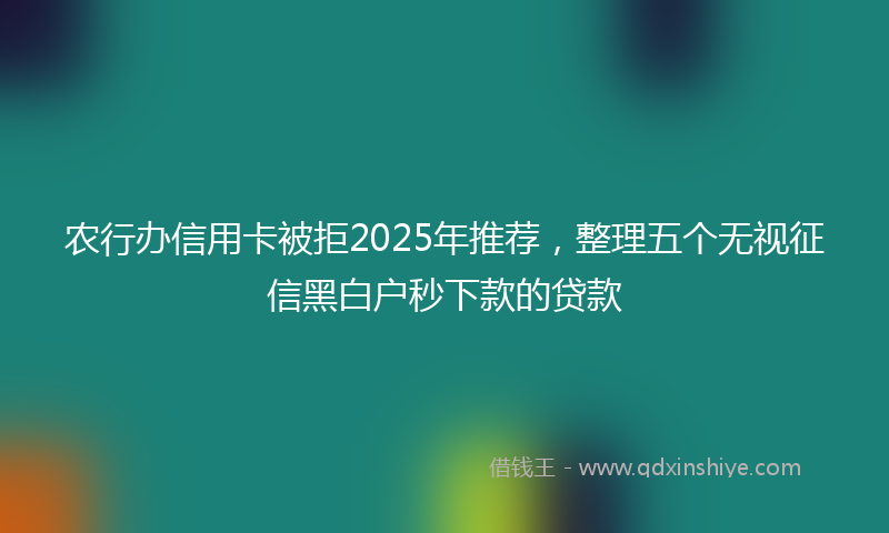 农行办信用卡被拒2025年推荐，整理五个无视征信黑白户秒下款的贷款