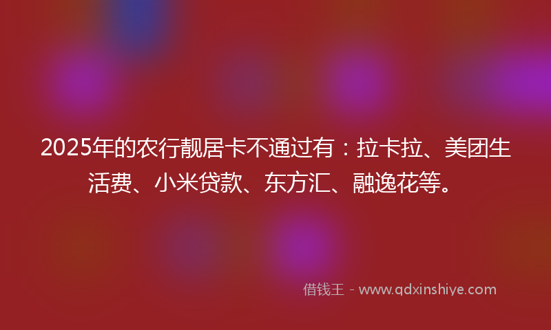 2025年的农行靓居卡不通过有：拉卡拉、美团生活费、小米贷款、东方汇、融逸花等。