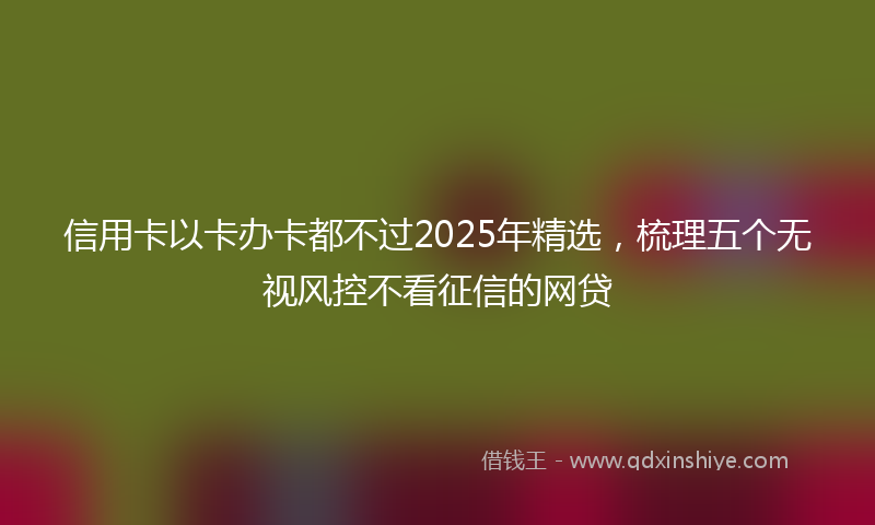 信用卡以卡办卡都不过2025年精选，梳理五个无视风控不看征信的网贷