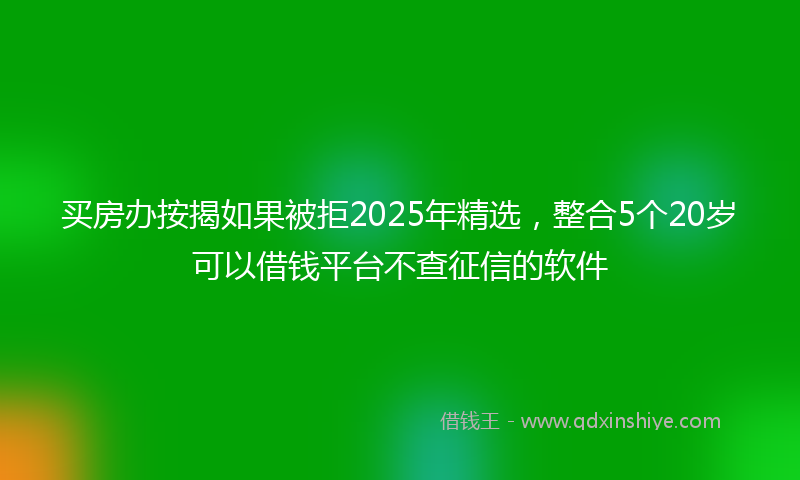 买房办按揭如果被拒2025年精选，整合5个20岁可以借钱平台不查征信的软件