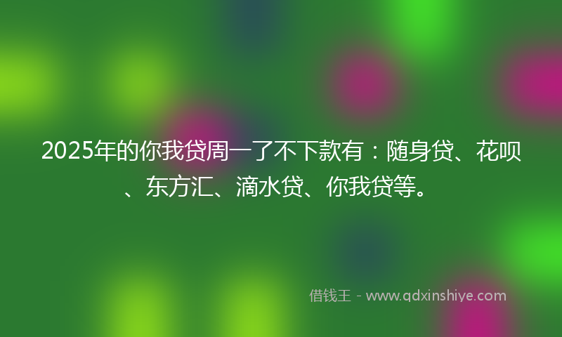 2025年的你我贷周一了不下款有：随身贷、花呗、东方汇、滴水贷、你我贷等。