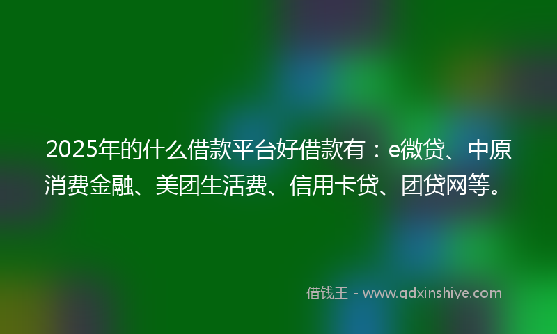 2025年的什么借款平台好借款有：e微贷、中原消费金融、美团生活费、信用卡贷、团贷网等。