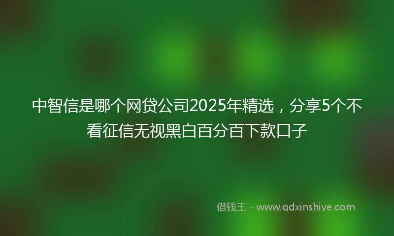 中智信是哪个网贷公司2025年精选，分享5个不看征信无视黑白百分百下款口子