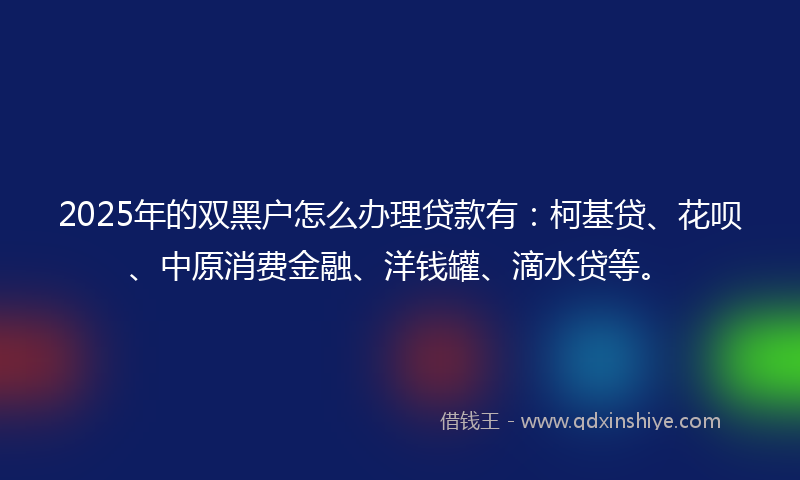 2025年的双黑户怎么办理贷款有：柯基贷、花呗、中原消费金融、洋钱罐、滴水贷等。