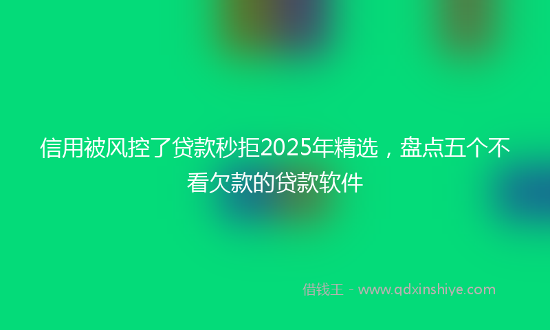 信用被风控了贷款秒拒2025年精选，盘点五个不看欠款的贷款软件