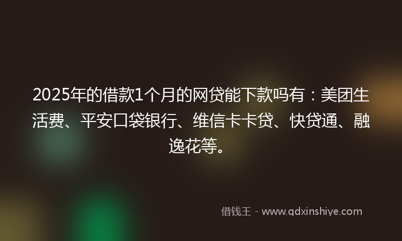 2025年的借款1个月的网贷能下款吗有：美团生活费、平安口袋银行、维信卡卡贷、快贷通、融逸花等。