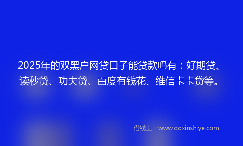 2025年的双黑户网贷口子能贷款吗有：好期贷、读秒贷、功夫贷、百度有钱花、维信卡卡贷等。