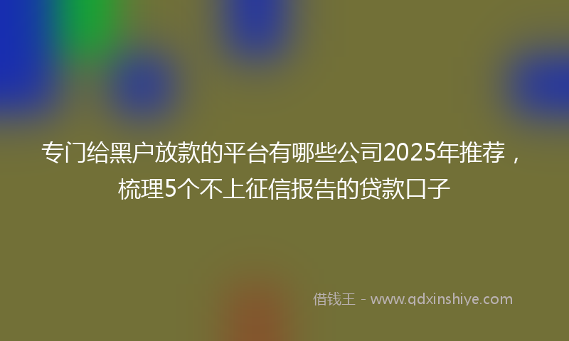 专门给黑户放款的平台有哪些公司2025年推荐，梳理5个不上征信报告的贷款口子