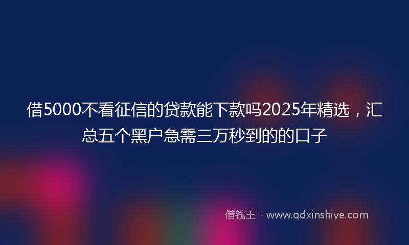 借5000不看征信的贷款能下款吗2025年精选，汇总五个黑户急需三万秒到的的口子