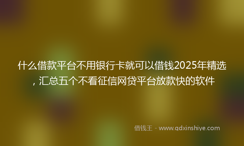 什么借款平台不用银行卡就可以借钱2025年精选，汇总五个不看征信网贷平台放款快的软件