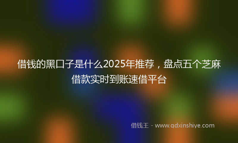 借钱的黑口子是什么2025年推荐，盘点五个芝麻借款实时到账速借平台