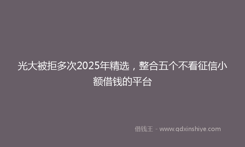 光大被拒多次2025年精选，整合五个不看征信小额借钱的平台