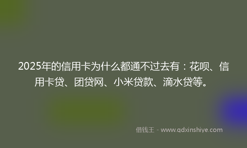 2025年的信用卡为什么都通不过去有：花呗、信用卡贷、团贷网、小米贷款、滴水贷等。