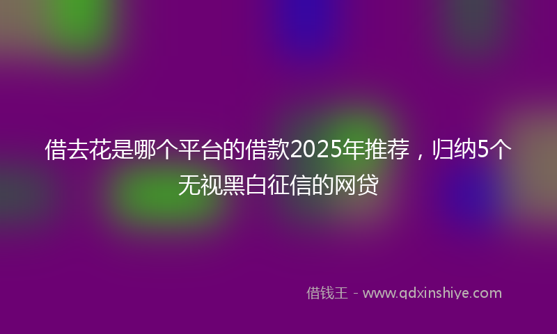 借去花是哪个平台的借款2025年推荐，归纳5个无视黑白征信的网贷