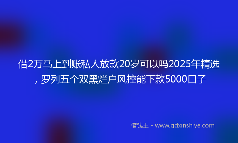 借2万马上到账私人放款20岁可以吗2025年精选，罗列五个双黑烂户风控能下款5000口子